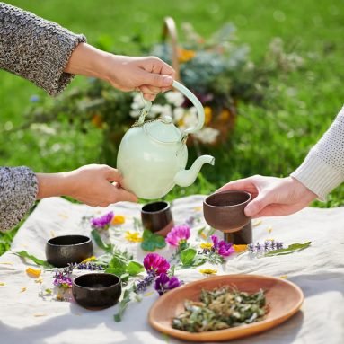 cider-and-herbs-biking-tour-thumb
